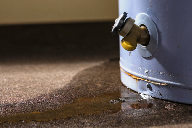Best Residential water damage restoration  in West View, PA