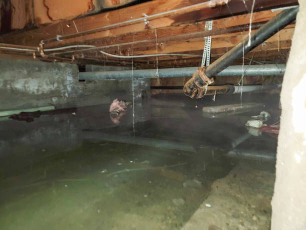 Best 24/7 water damage repair  in West View, PA