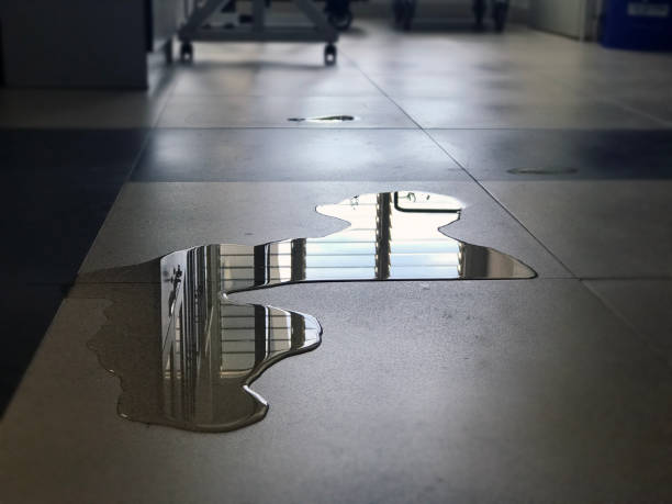 Best Water damage cleanup near me  in West View, PA