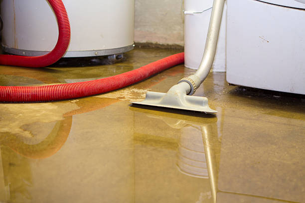 Best Fire Damage Restoration  in West View, PA
