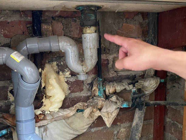 Best Professional water damage repair  in West View, PA