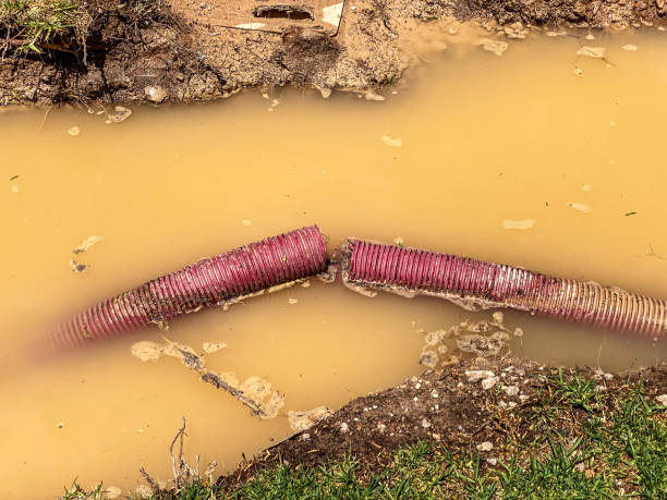 Best Sewage cleanup and water damage restoration  in West View, PA