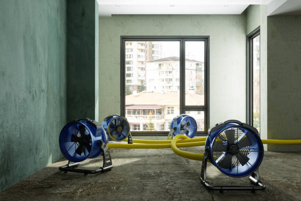 Best 24-hour water damage restoration  in West View, PA